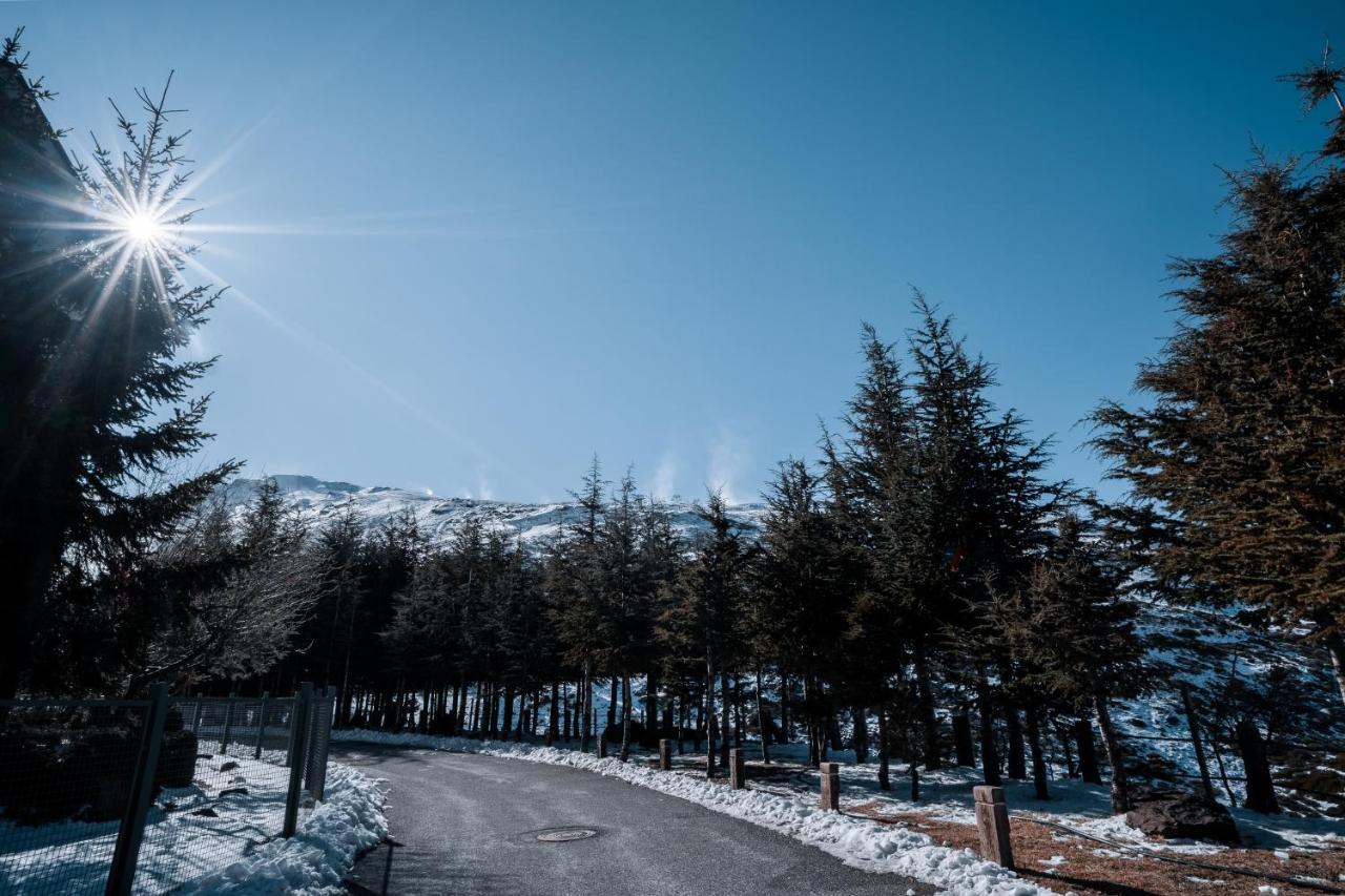 The Mountains Hotel Sierra Nevada Dış mekan fotoğraf